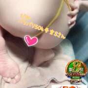 ヒメ日記 2026/02/11 08:15 投稿 おとめ One More奥様　横浜関内店