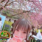 ヒメ日記 2026/03/07 19:15 投稿 おとめ One More奥様　横浜関内店