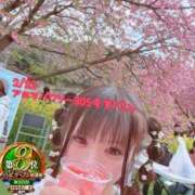 ヒメ日記 2026/03/17 00:03 投稿 おとめ One More奥様　横浜関内店