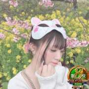 ヒメ日記 2026/03/20 09:03 投稿 おとめ One More奥様　横浜関内店