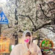 ヒメ日記 2026/04/09 11:30 投稿 おとめ One More奥様　横浜関内店