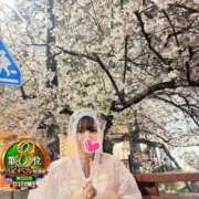 ヒメ日記 2026/04/10 17:12 投稿 おとめ One More奥様　横浜関内店