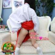 ヒメ日記 2026/04/11 08:15 投稿 おとめ One More奥様　横浜関内店