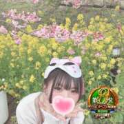 ヒメ日記 2026/04/15 03:00 投稿 おとめ One More奥様　横浜関内店