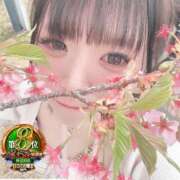 ヒメ日記 2026/04/19 12:16 投稿 おとめ One More奥様　横浜関内店