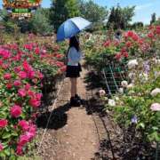 ヒメ日記 2026/05/09 15:45 投稿 おとめ One More奥様　横浜関内店