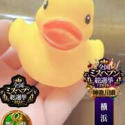 ヒメ日記 2026/09/15 03:00 投稿 おとめ One More奥様　横浜関内店
