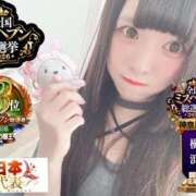 ヒメ日記 2026/09/17 11:31 投稿 おとめ One More奥様　横浜関内店