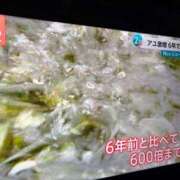 ヒメ日記 2025/06/05 11:48 投稿 あゆか 東京アロマスタイル