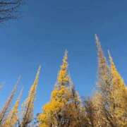 ヒメ日記 2025/12/06 00:38 投稿 あゆか 東京アロマスタイル