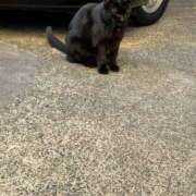 ヒメ日記 2025/11/28 09:45 投稿 荒瀬 BBW横浜店