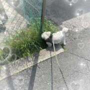 ヒメ日記 2025/04/21 09:28 投稿 あや エレガンス(広島)