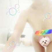 ヒメ日記 2025/05/12 06:28 投稿 あや エレガンス(広島)