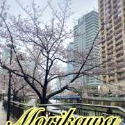 ヒメ日記 2025/04/02 09:44 投稿 森川しずか イマジン東京