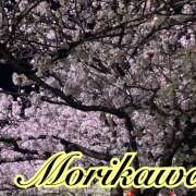 ヒメ日記 2025/04/06 09:47 投稿 森川しずか イマジン東京