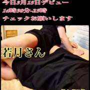 ヒメ日記 2026/03/15 11:41 投稿 森川しずか イマジン東京