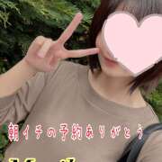 ヒメ日記 2026/06/15 14:01 投稿 森川しずか イマジン東京