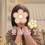 ヒメ日記 2026/06/15 15:05 投稿 森川しずか イマジン東京