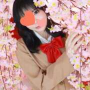 ヒメ日記 2026/04/12 05:08 投稿 さゆり 東京リップ 秋葉原店