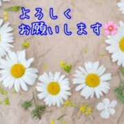 ヒメ日記 2024/04/01 14:17 投稿 いちえ 奥鉄オクテツ奈良