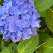 ヒメ日記 2025/06/30 20:53 投稿 さおり 王様のヘルス-人妻のおもてなし-