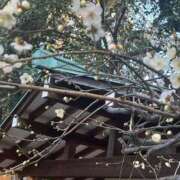 ヒメ日記 2026/02/18 16:33 投稿 さおり 王様のヘルス-人妻のおもてなし-