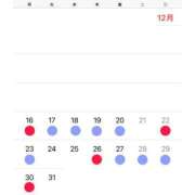 ヒメ日記 2024/12/15 06:03 投稿 ウミ ツートップ