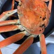 ヒメ日記 2025/02/09 11:01 投稿 シキ KINDAN-禁断-