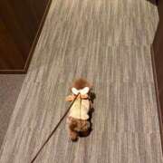 ヒメ日記 2025/02/15 02:55 投稿 シキ KINDAN-禁断-