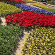 ヒメ日記 2025/04/05 17:57 投稿 シキ KINDAN-禁断-