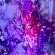 ヒメ日記 2025/05/03 09:00 投稿 シキ KINDAN-禁断-