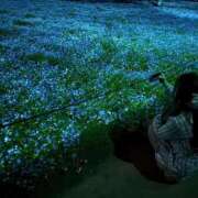 ヒメ日記 2025/05/27 15:57 投稿 シキ KINDAN-禁断-