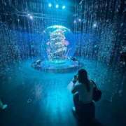 ヒメ日記 2025/09/20 08:51 投稿 シキ KINDAN-禁断-