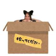 ヒメ日記 2025/10/27 22:13 投稿 シキ KINDAN-禁断-