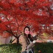 ヒメ日記 2025/12/02 16:39 投稿 シキ KINDAN-禁断-