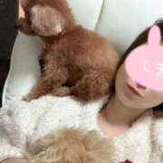 ヒメ日記 2026/01/16 17:42 投稿 シキ KINDAN-禁断-