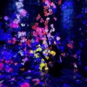 ヒメ日記 2026/01/29 12:02 投稿 シキ KINDAN-禁断-