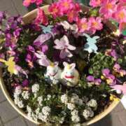 まさみ お礼 丸妻 厚木店