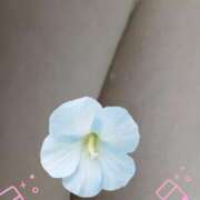 まさみ こんにちは🎶 丸妻 厚木店