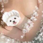 ヒメ日記 2025/02/23 15:18 投稿 さき 白いぽっちゃりさん仙台店