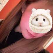 ヒメ日記 2025/02/23 19:08 投稿 さき 白いぽっちゃりさん仙台店