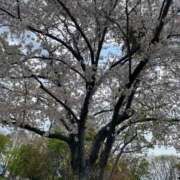 ヒメ日記 2025/05/10 23:29 投稿 あみか Mrs Sirena（ミセスシレナ）