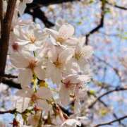 由梨奈（ゆりな） 🌸 人妻の蜜