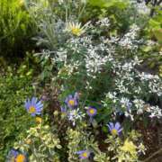 由梨奈（ゆりな） 🌱 人妻の蜜