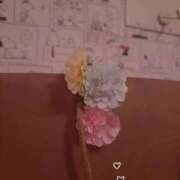 ヒメ日記 2026/04/11 02:05 投稿 るり Sナース女学園