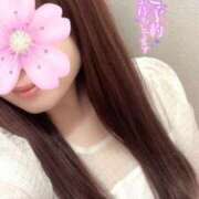 ヒメ日記 2025/06/12 14:19 投稿 夏目 新宿人妻城