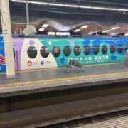 ヒメ日記 2025/07/29 13:10 投稿 りょう 奥鉄オクテツ和歌山