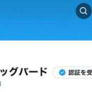 ヒメ日記 2025/12/25 12:24 投稿 愛依(めい) ビッグバード