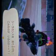 ヒメ日記 2025/12/16 11:37 投稿 りん マリン千葉店