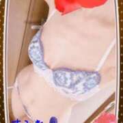 ヒメ日記 2025/06/08 09:10 投稿 すみれ 奥様電車